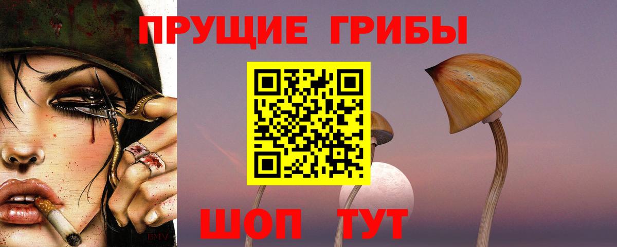 Галлюциногенные грибы прущие грибы Алушта