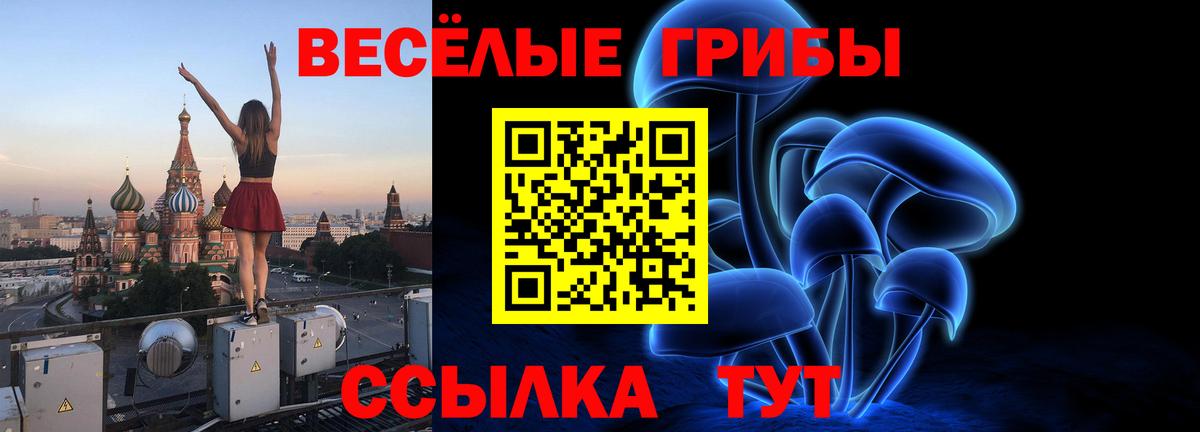 Алушта  Псилоцибиновые грибы Magic Shrooms  Галлюциногенные грибы ЛСД  Вход с VPN 